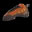 Rock